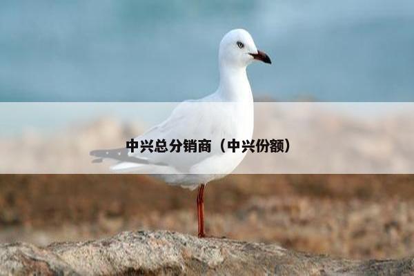 中兴总分销商（中兴份额）