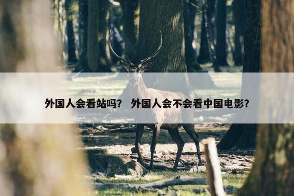外国人会看站吗？ 外国人会不会看中国电影？
