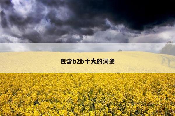包含b2b十大的词条