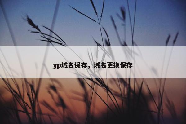 yp域名保存，域名更换保存