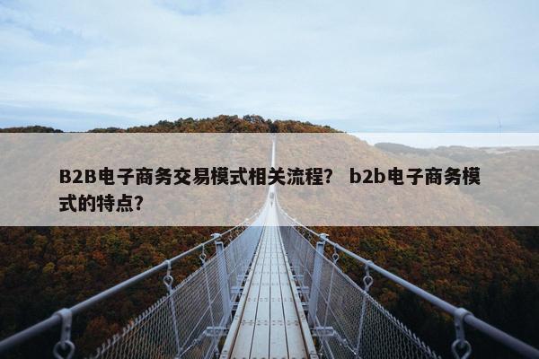 B2B电子商务交易模式相关流程？ b2b电子商务模式的特点？