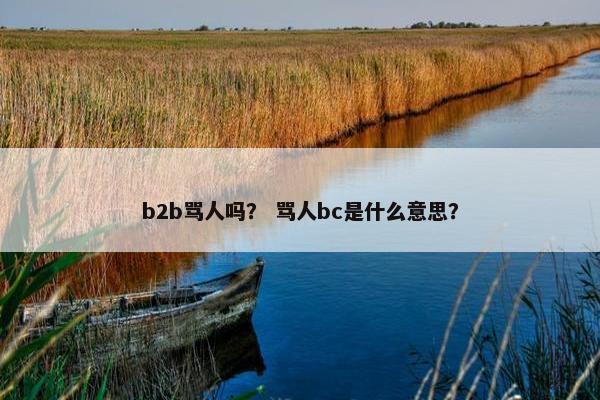 b2b骂人吗？ 骂人bc是什么意思？