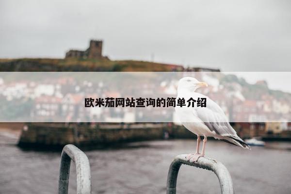 欧米茄网站查询的简单介绍