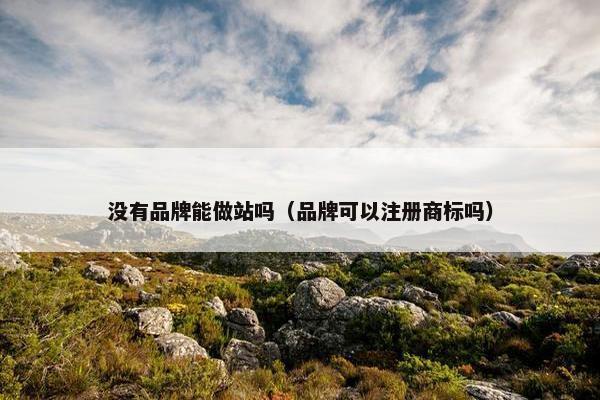 没有品牌能做站吗（品牌可以注册商标吗）