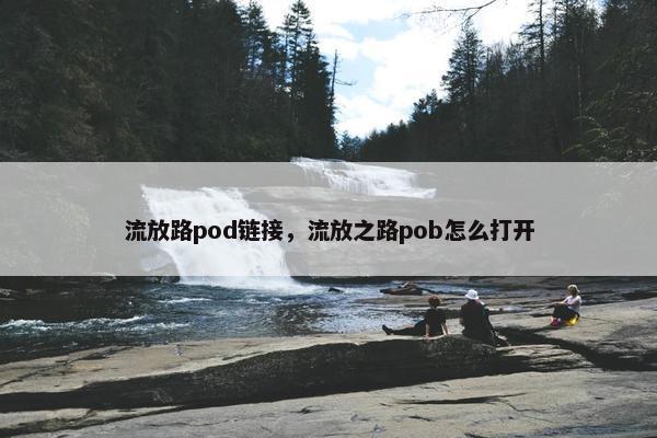 流放路pod链接，流放之路pob怎么打开
