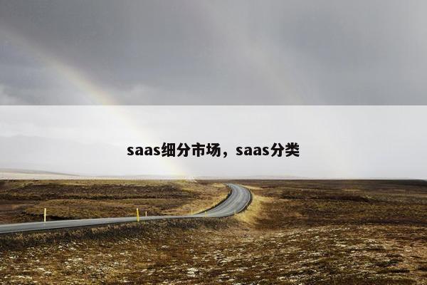 saas细分市场，saas分类