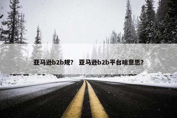 亚马逊b2b规？ 亚马逊b2b平台啥意思？