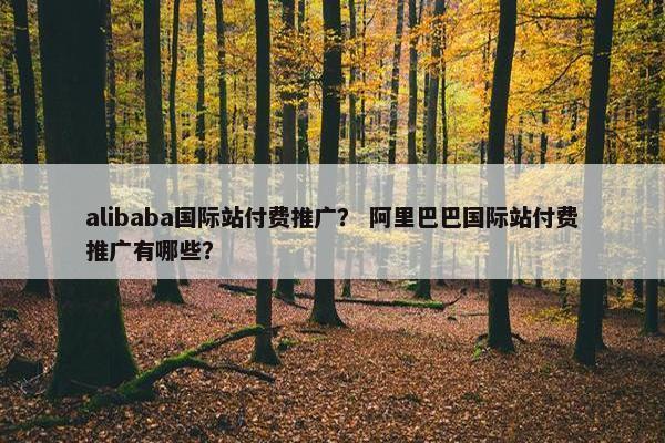 alibaba国际站付费推广？ 阿里巴巴国际站付费推广有哪些？