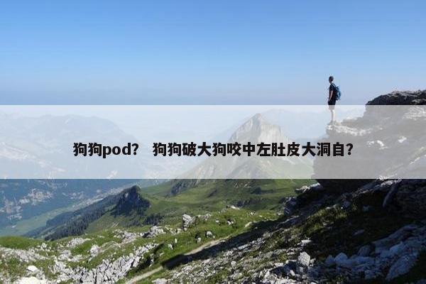 狗狗pod？ 狗狗破大狗咬中左肚皮大洞自？