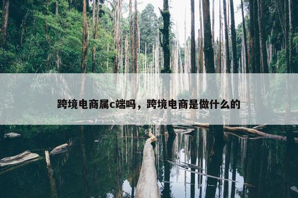 跨境电商属c端吗，跨境电商是做什么的