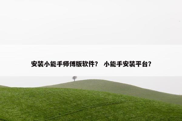 安装小能手师傅版软件？ 小能手安装平台？