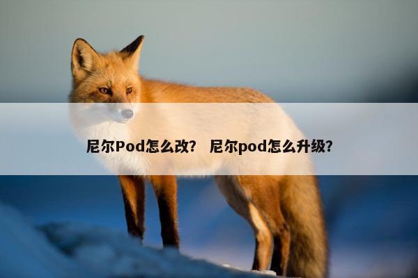尼尔Pod怎么改？ 尼尔pod怎么升级？