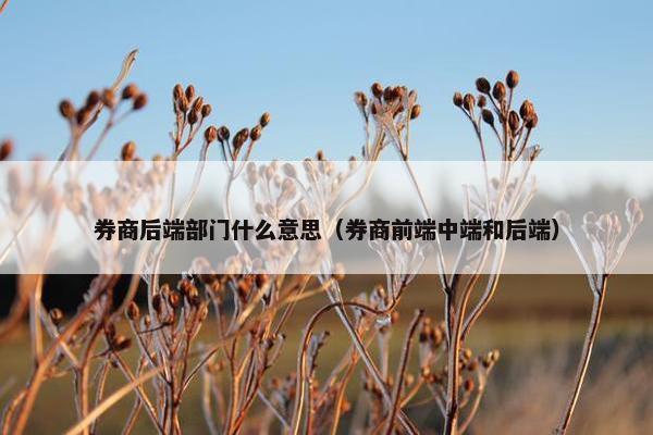 券商后端部门什么意思（券商前端中端和后端）