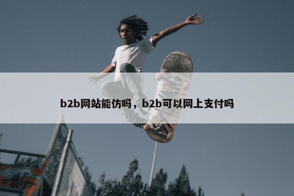 b2b网站能仿吗，b2b可以网上支付吗