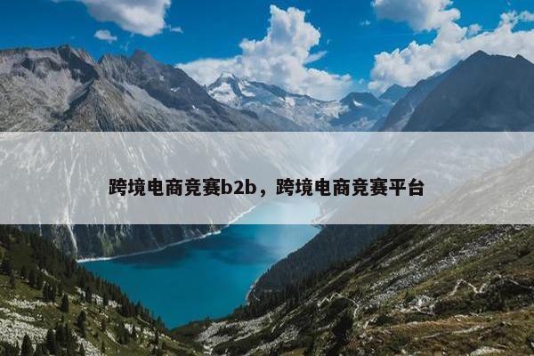 跨境电商竞赛b2b，跨境电商竞赛平台