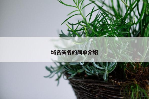 域名矢名的简单介绍