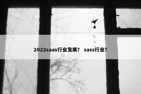 2022saas行业发展？ sass行业？