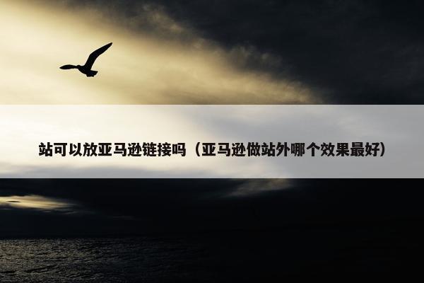 站可以放亚马逊链接吗（亚马逊做站外哪个效果最好）