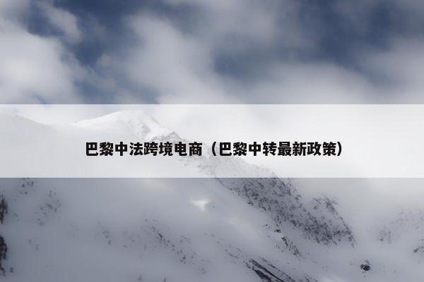 巴黎中法跨境电商（巴黎中转最新政策）