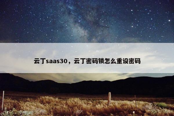 云丁saas30，云丁密码锁怎么重设密码