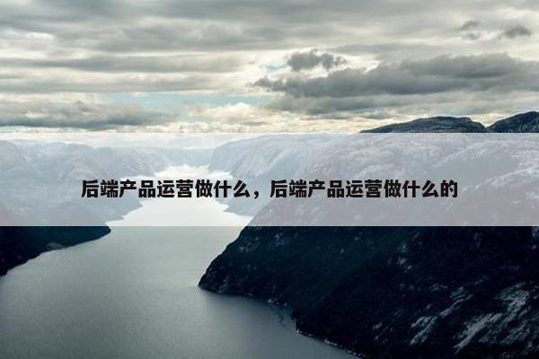 后端产品运营做什么，后端产品运营做什么的