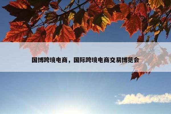 国博跨境电商，国际跨境电商交易博览会