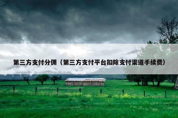 第三方支付分佣（第三方支付平台扣除支付渠道手续费）