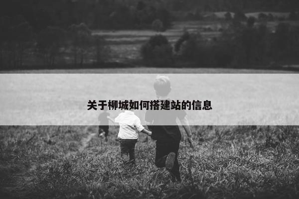关于柳城如何搭建站的信息
