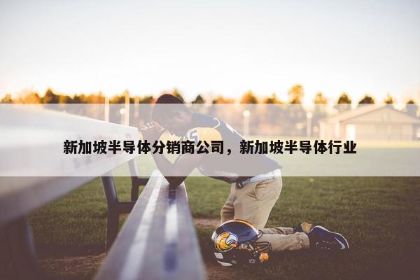 新加坡半导体分销商公司，新加坡半导体行业