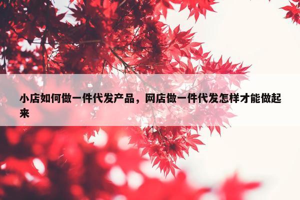 小店如何做一件代发产品，网店做一件代发怎样才能做起来