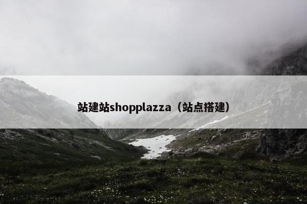 站建站shopplazza（站点搭建）