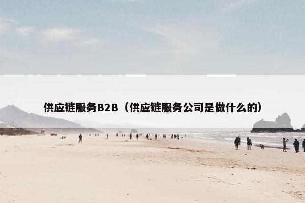 供应链服务B2B（供应链服务公司是做什么的）