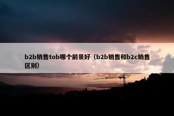 b2b销售tob哪个前景好（b2b销售和b2c销售区别）