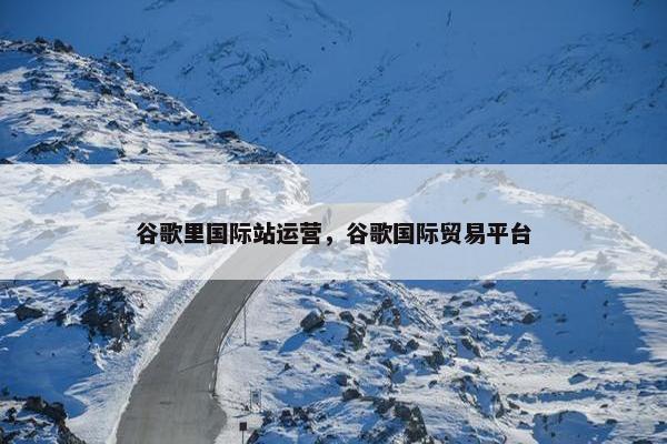 谷歌里国际站运营，谷歌国际贸易平台