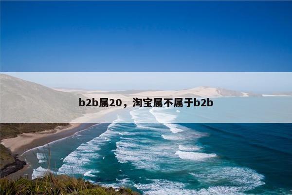b2b属20，淘宝属不属于b2b