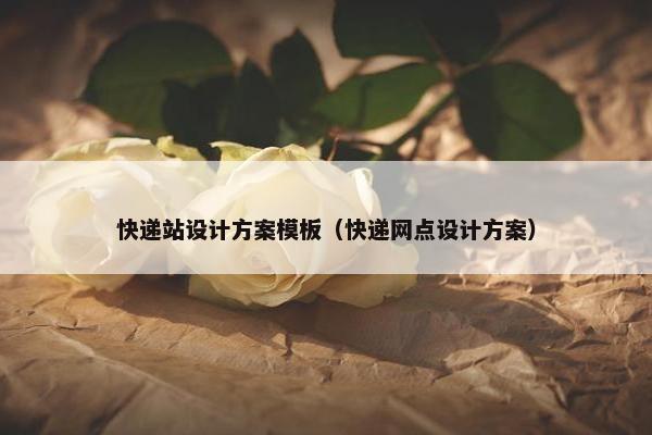 快递站设计方案模板（快递网点设计方案）