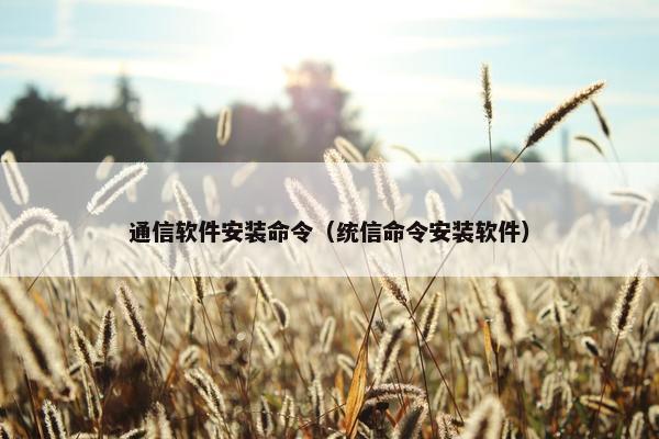 通信软件安装命令（统信命令安装软件）
