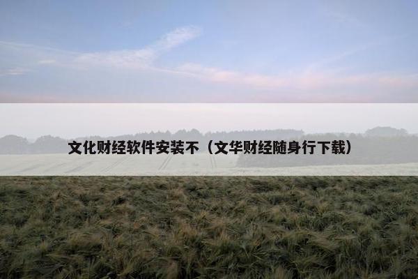 文化财经软件安装不（文华财经随身行下载）