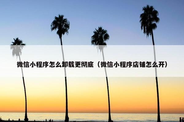 微信小程序怎么卸载更彻底（微信小程序店铺怎么开）