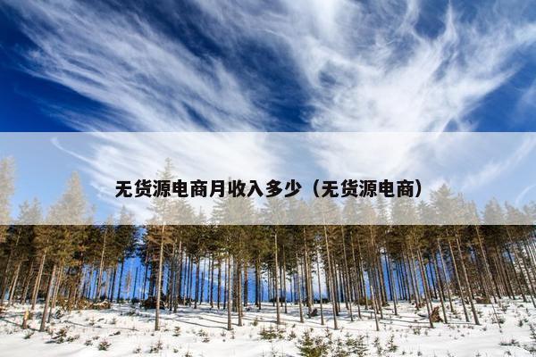 无货源电商月收入多少（无货源电商）