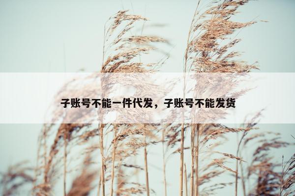 子账号不能一件代发，子账号不能发货