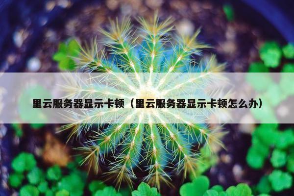 里云服务器显示卡顿（里云服务器显示卡顿怎么办）