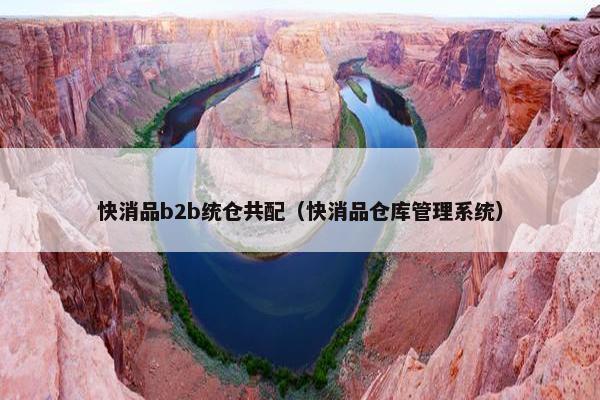 快消品b2b统仓共配（快消品仓库管理系统）