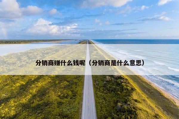 分销商赚什么钱呢（分销商是什么意思）