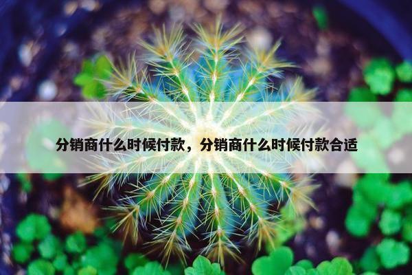 分销商什么时候付款，分销商什么时候付款合适