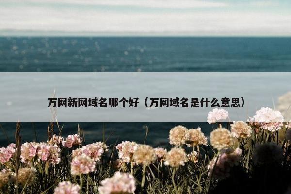 万网新网域名哪个好（万网域名是什么意思）