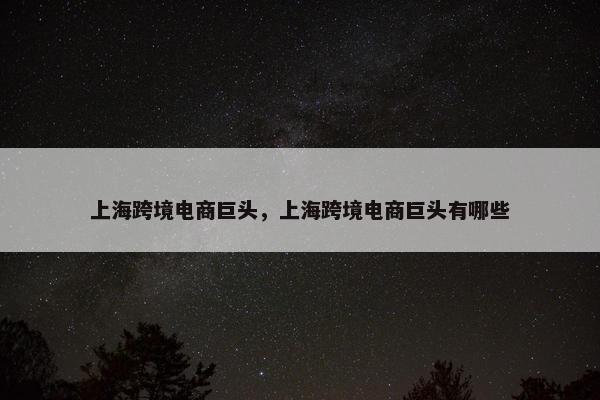 上海跨境电商巨头，上海跨境电商巨头有哪些