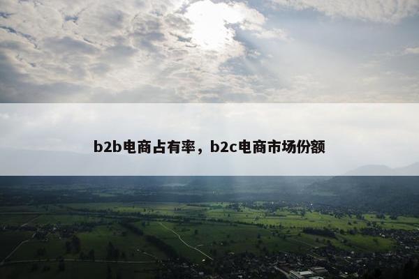 b2b电商占有率，b2c电商市场份额