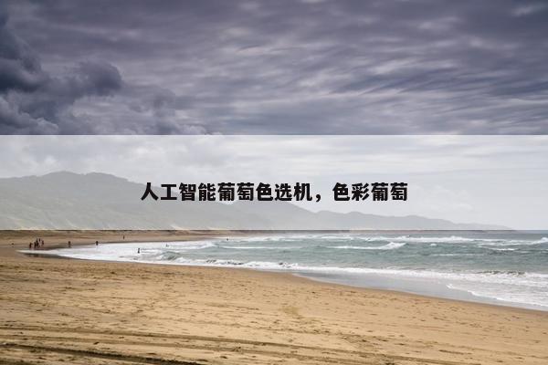 人工智能葡萄色选机，色彩葡萄