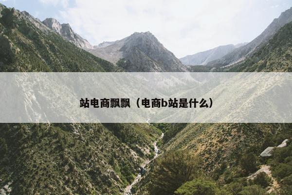 站电商飘飘（电商b站是什么）